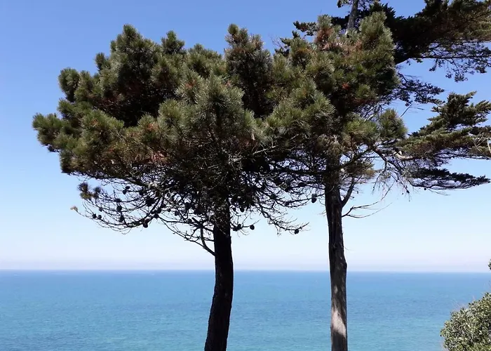 Granville Plage Plat Gousset